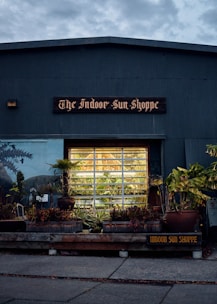 A storefront with the sign 'The Indoor Sun Shoppe' is visible, featuring a large window displaying potted plants and greenery. The building's exterior is a muted gray-blue color, surrounded by various plants and foliage, creating a cozy, inviting atmosphere.