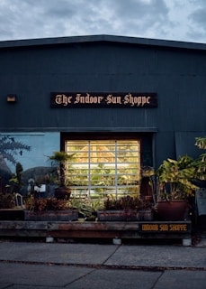 A storefront with the sign 'The Indoor Sun Shoppe' is visible, featuring a large window displaying potted plants and greenery. The building's exterior is a muted gray-blue color, surrounded by various plants and foliage, creating a cozy, inviting atmosphere.