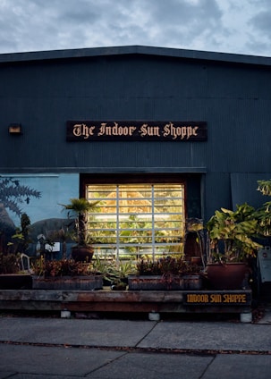 A storefront with the sign 'The Indoor Sun Shoppe' is visible, featuring a large window displaying potted plants and greenery. The building's exterior is a muted gray-blue color, surrounded by various plants and foliage, creating a cozy, inviting atmosphere.