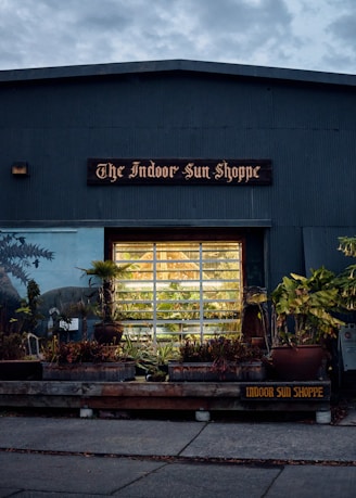 A storefront with the sign 'The Indoor Sun Shoppe' is visible, featuring a large window displaying potted plants and greenery. The building's exterior is a muted gray-blue color, surrounded by various plants and foliage, creating a cozy, inviting atmosphere.