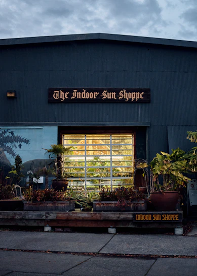 A cozy, sunlit storefront at 772 Thurlow St with Healing Empire signage and lush green plants outside.