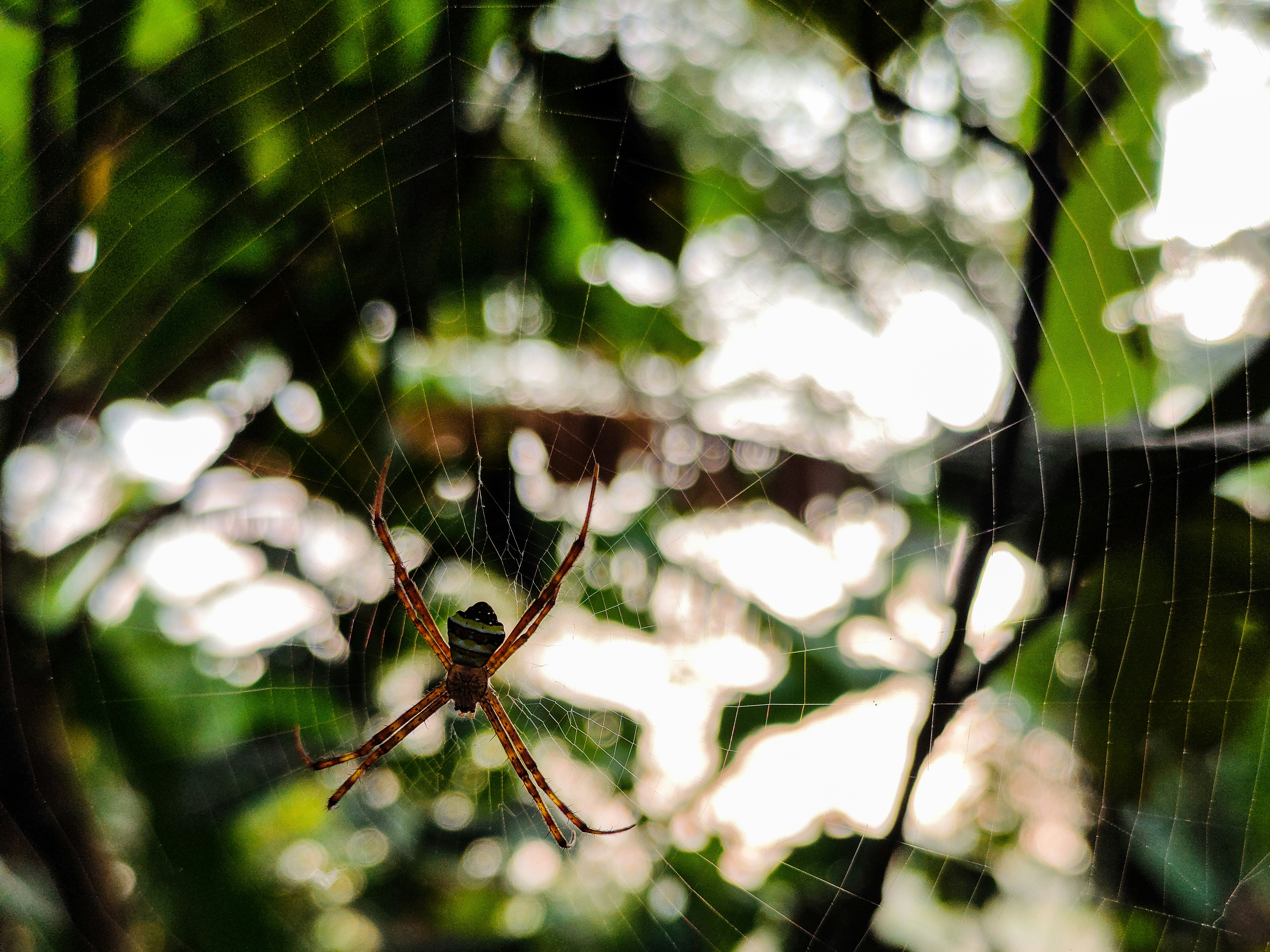 Photo by pradyumna10