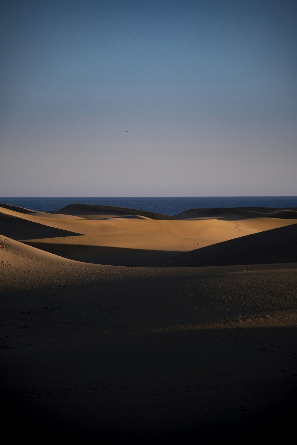 brown sand under blue sky during daytime