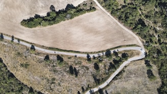 An aerial view of a rural landscape featuring a winding road that crosses through fields and patches of trees. The fields appear dry and are bordered by greenery, creating a contrasting texture. A single vehicle is visible on the road, surrounded by shadows cast by the trees and vegetation.