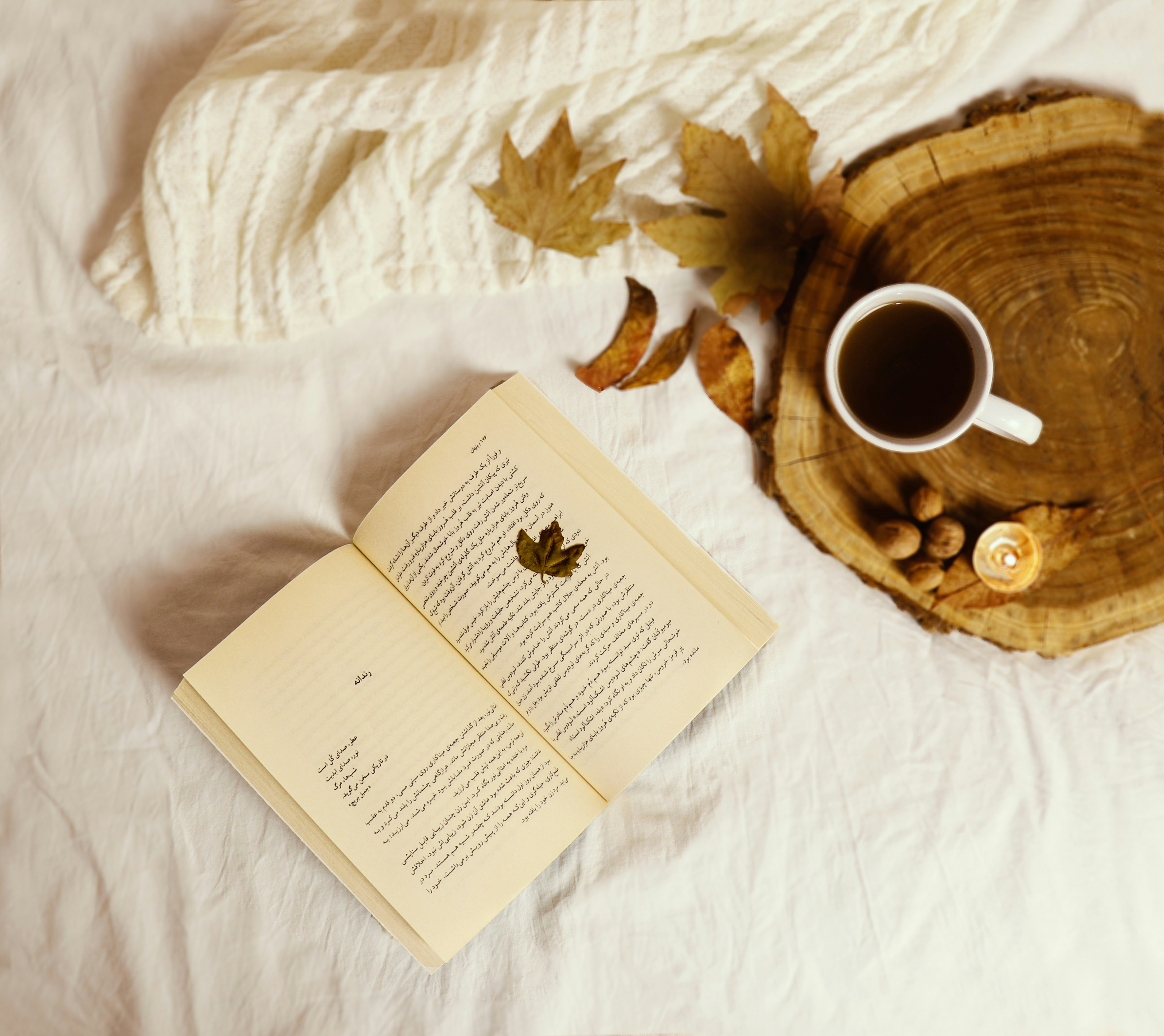 Photo by soniajahandari