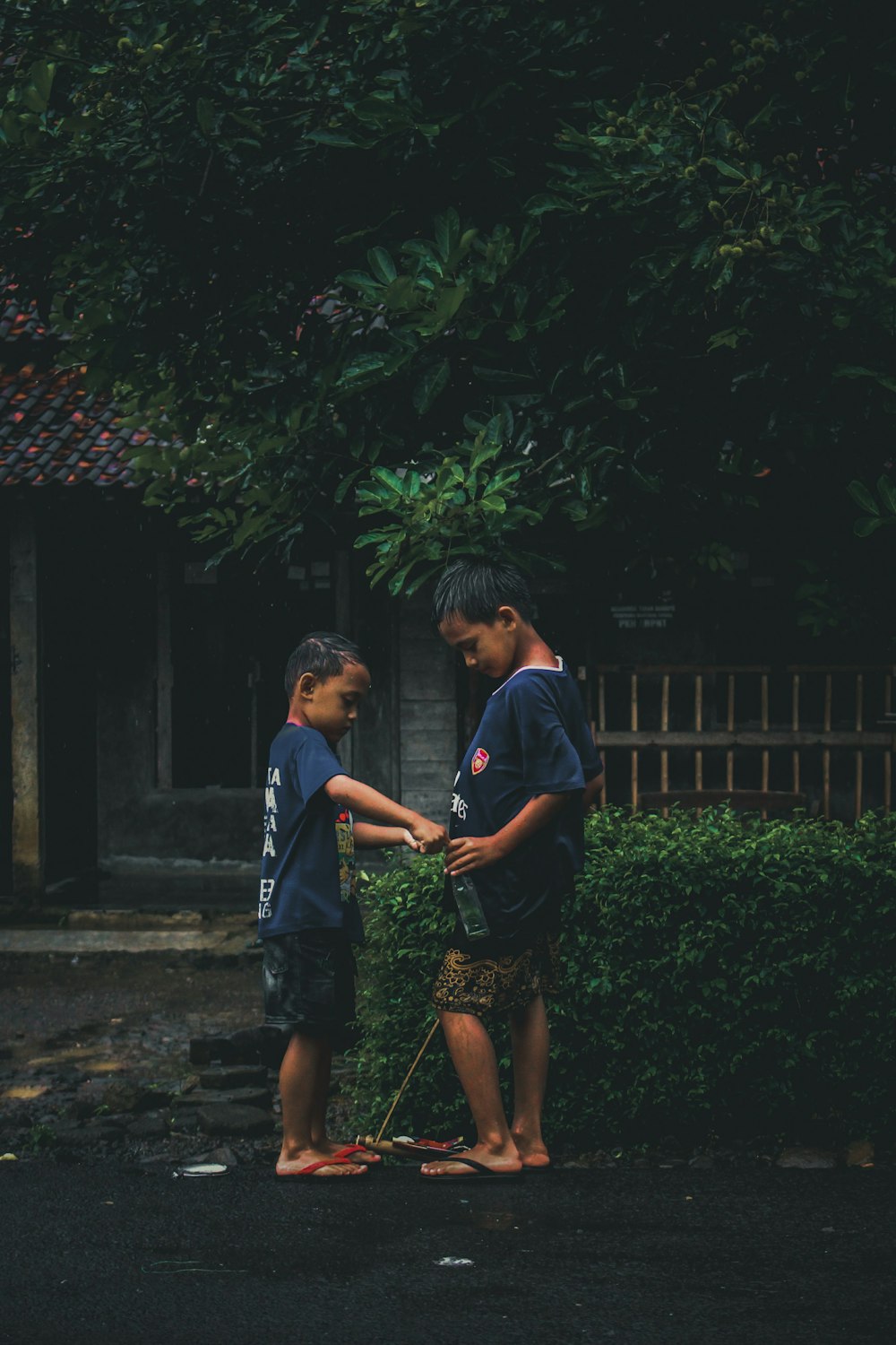 man in blue t-shirt and black shorts standing beside green plant