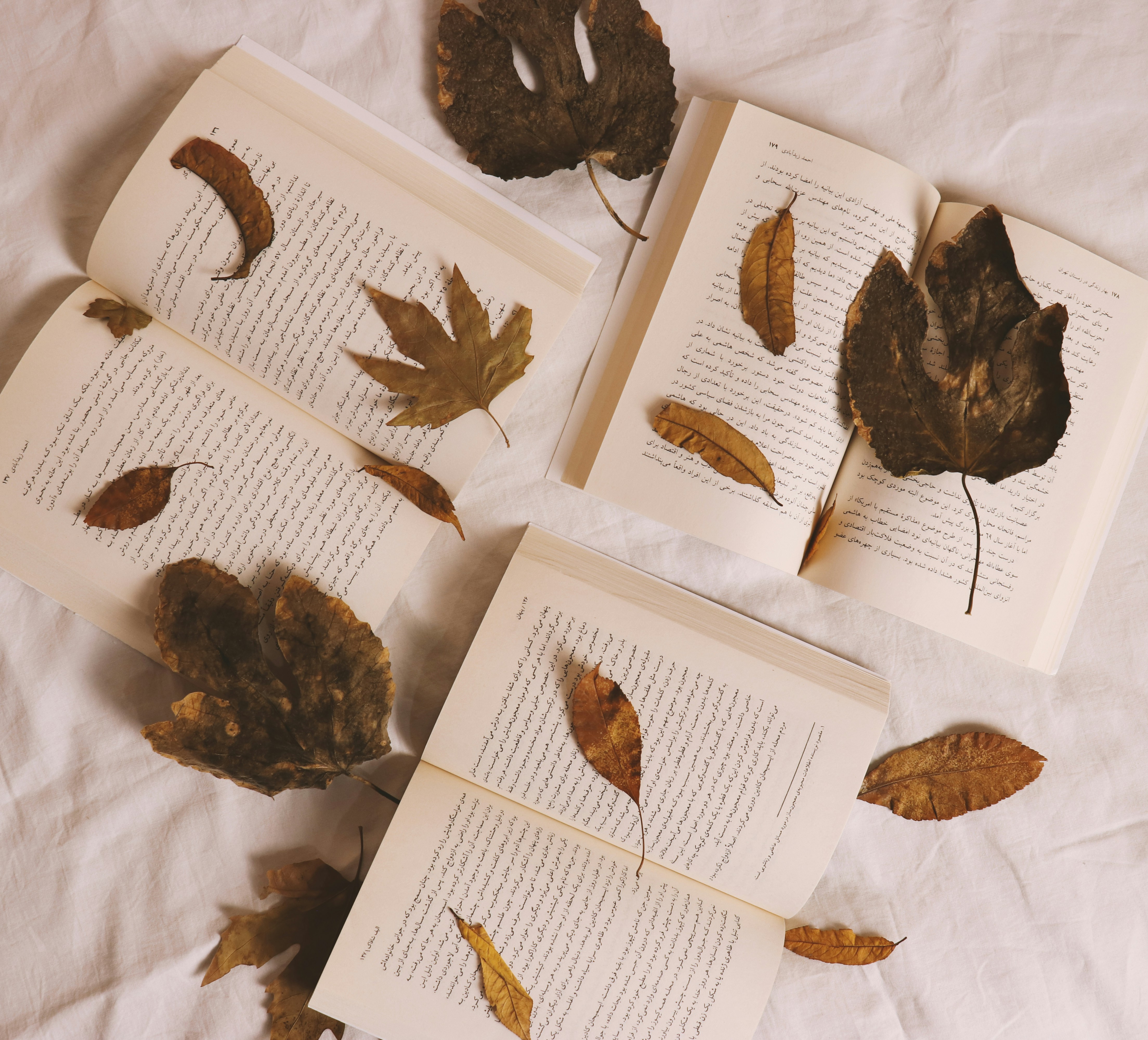 brown dried leaves on white printer paper