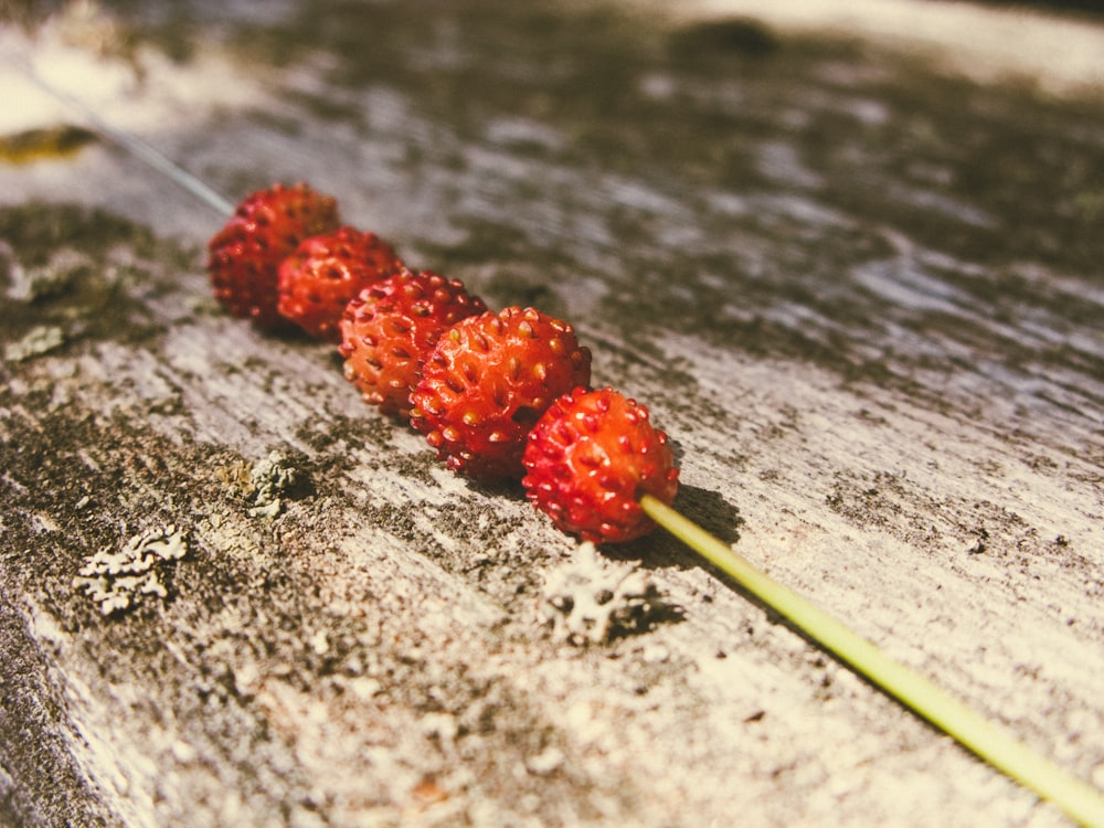 red round fruits on brown wooden surface
