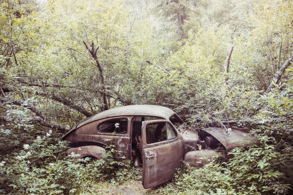 brown volkswagen beetle parked on green grass field during daytime