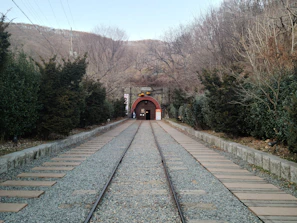 Aerial shot of a railway tunnel entrance nestled in a mountainous region.