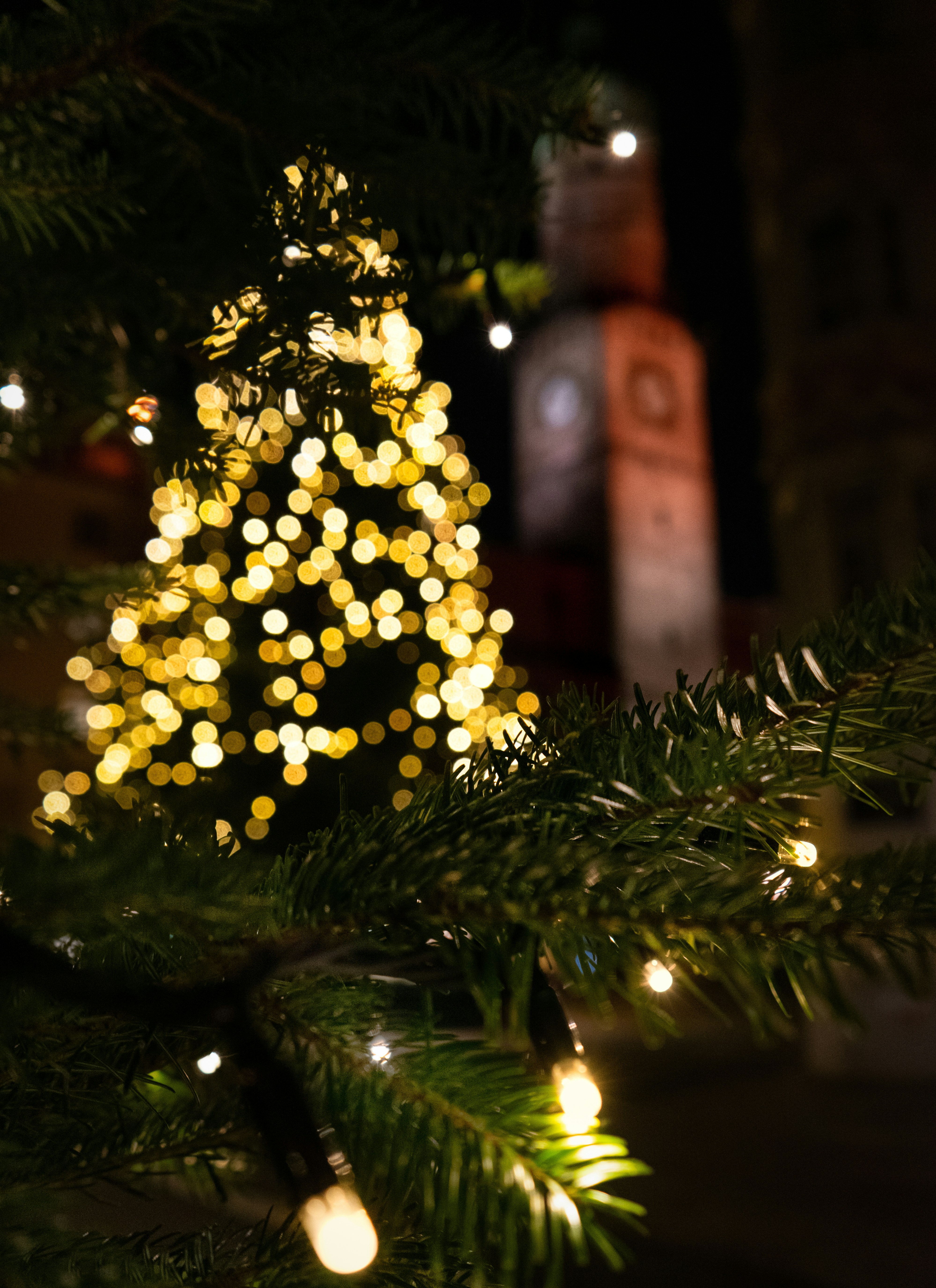 Photo by andreiamza2000