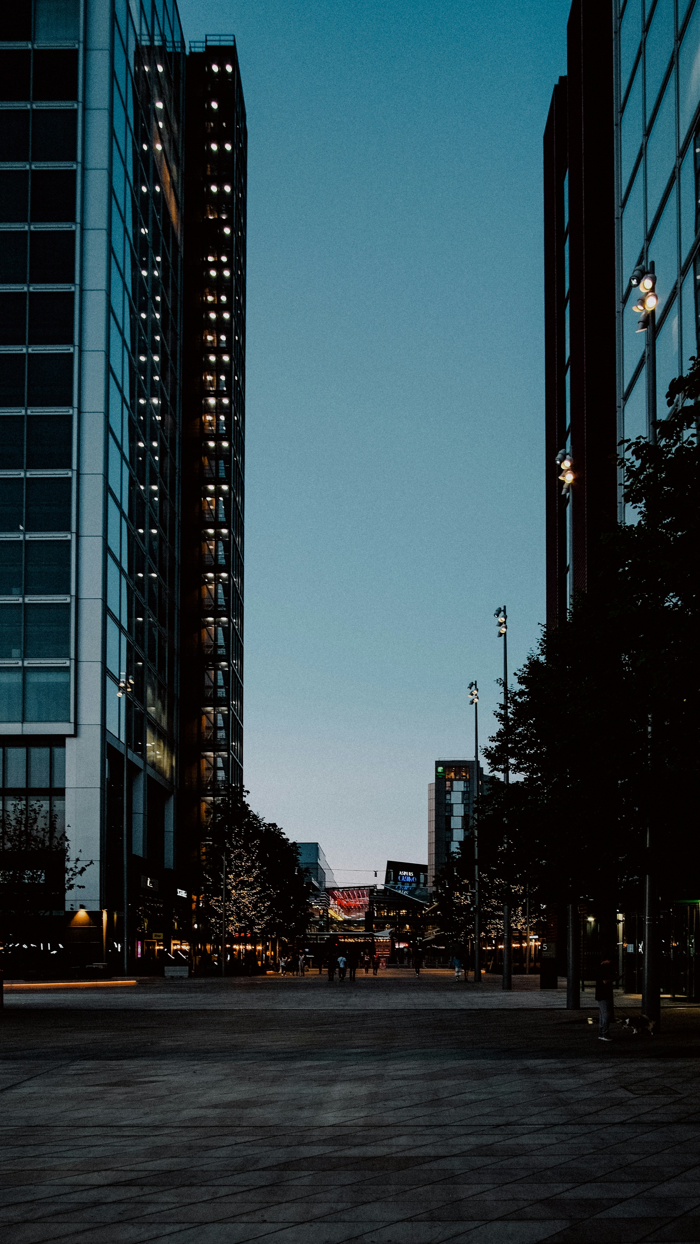 Photo by reganography