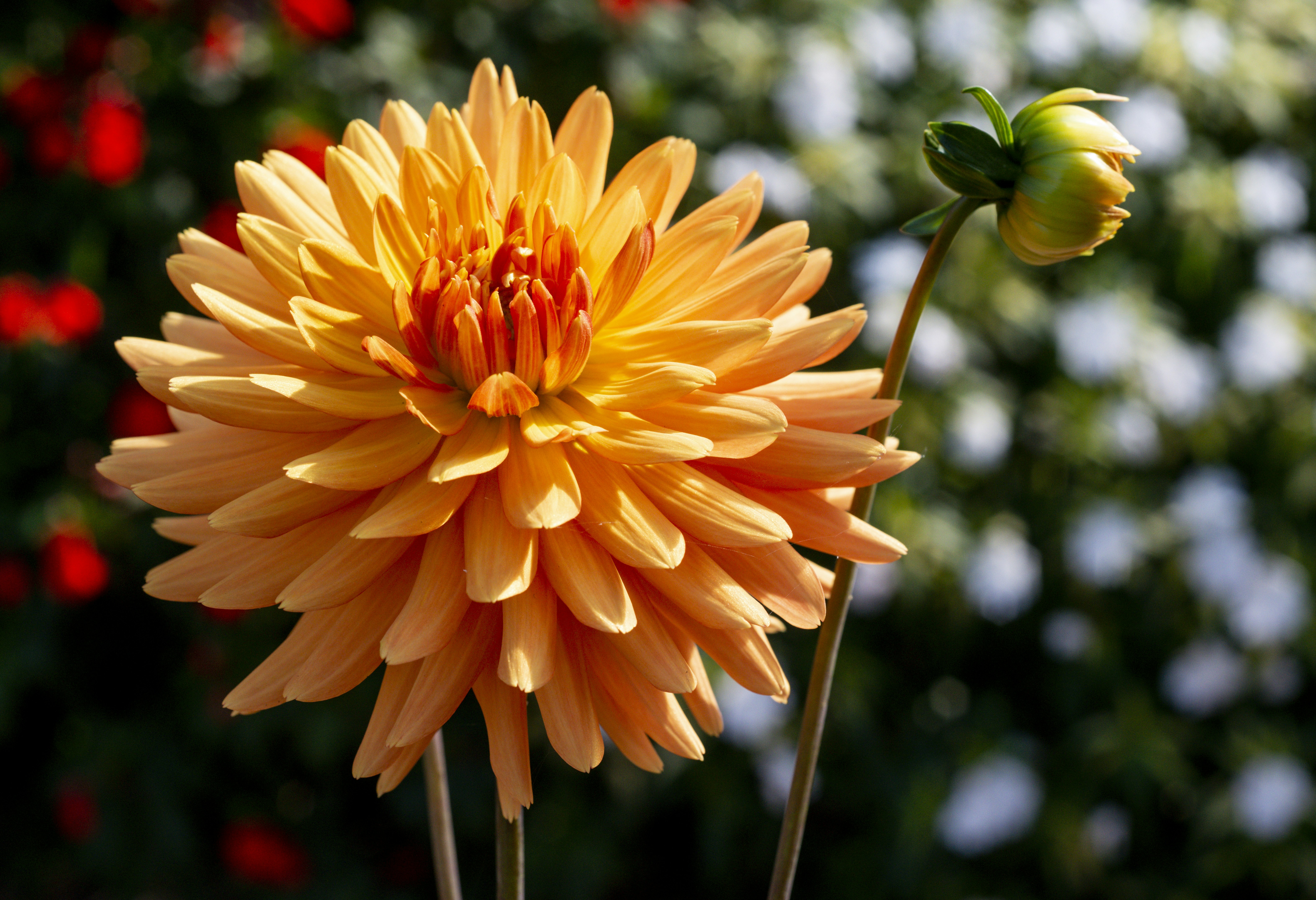 Photo by photographycoursenet