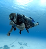 person in black and white diving suit under water