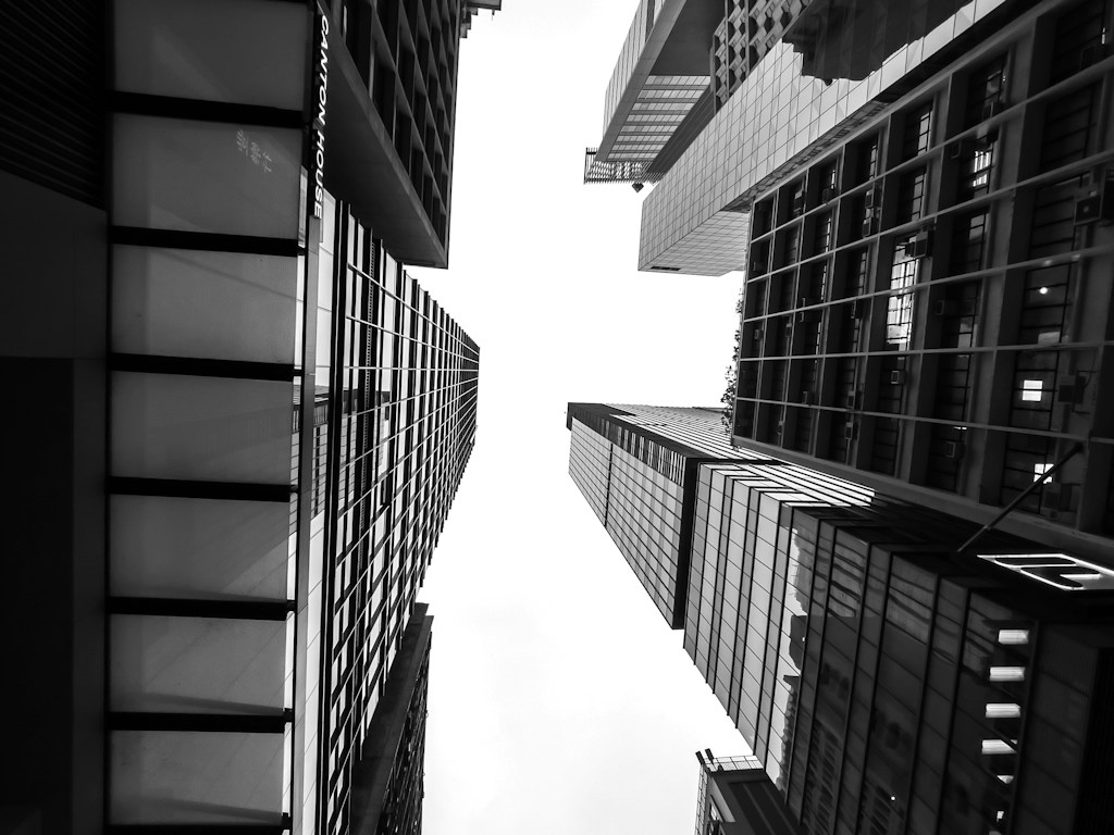 City in Contrast