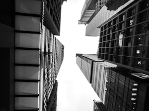 City in Contrast