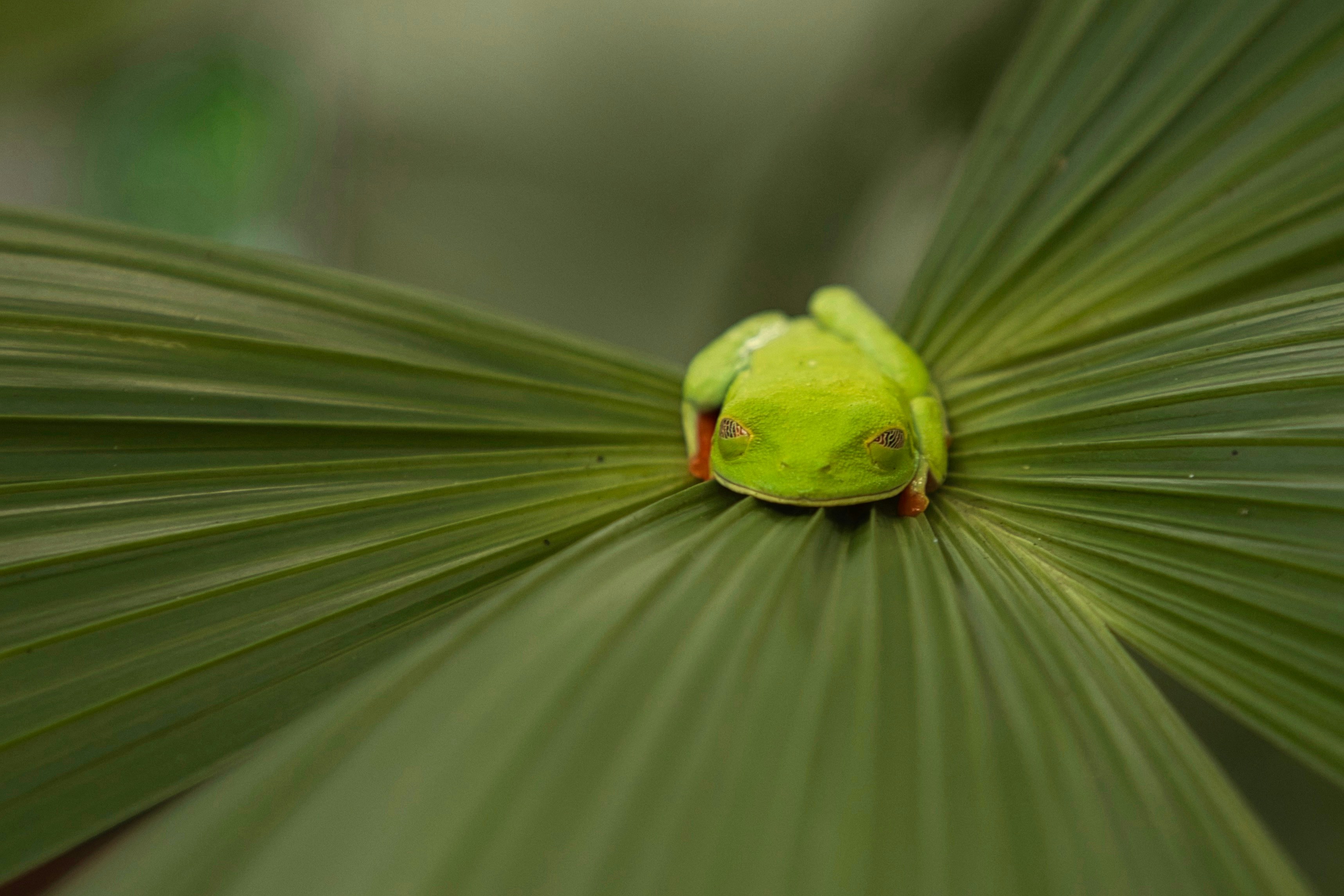 Photo by norberthentges