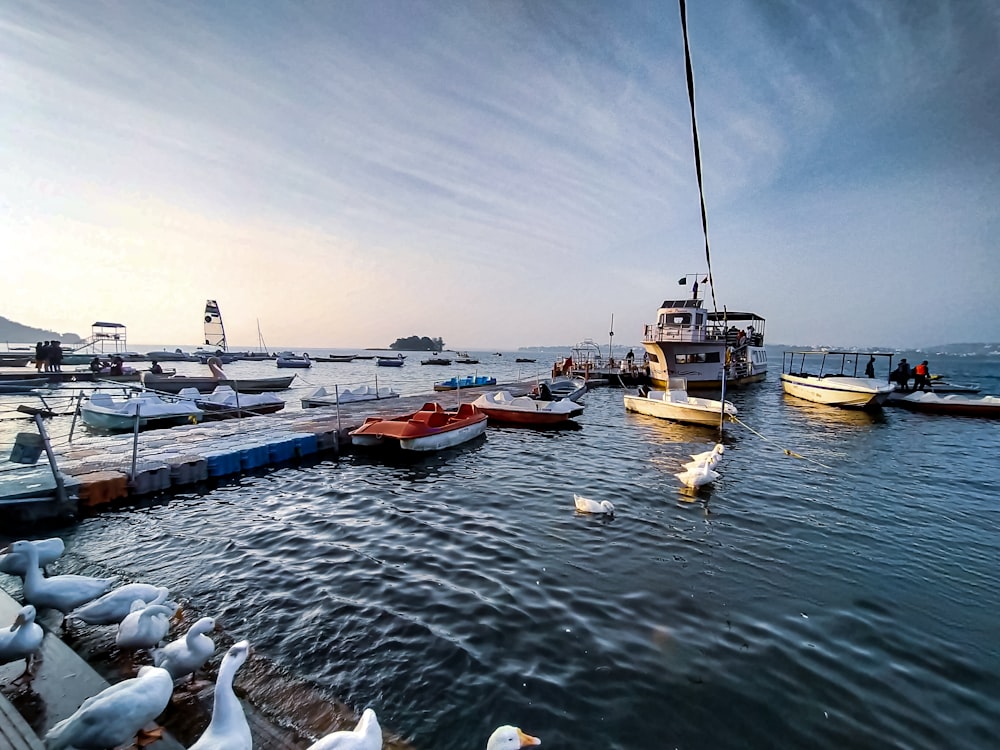 boats on dock during daytime