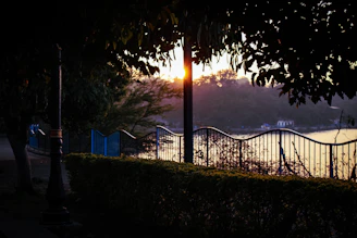 Sunset casting warm light over a freshly trimmed lawn with Trimly resting nearby.