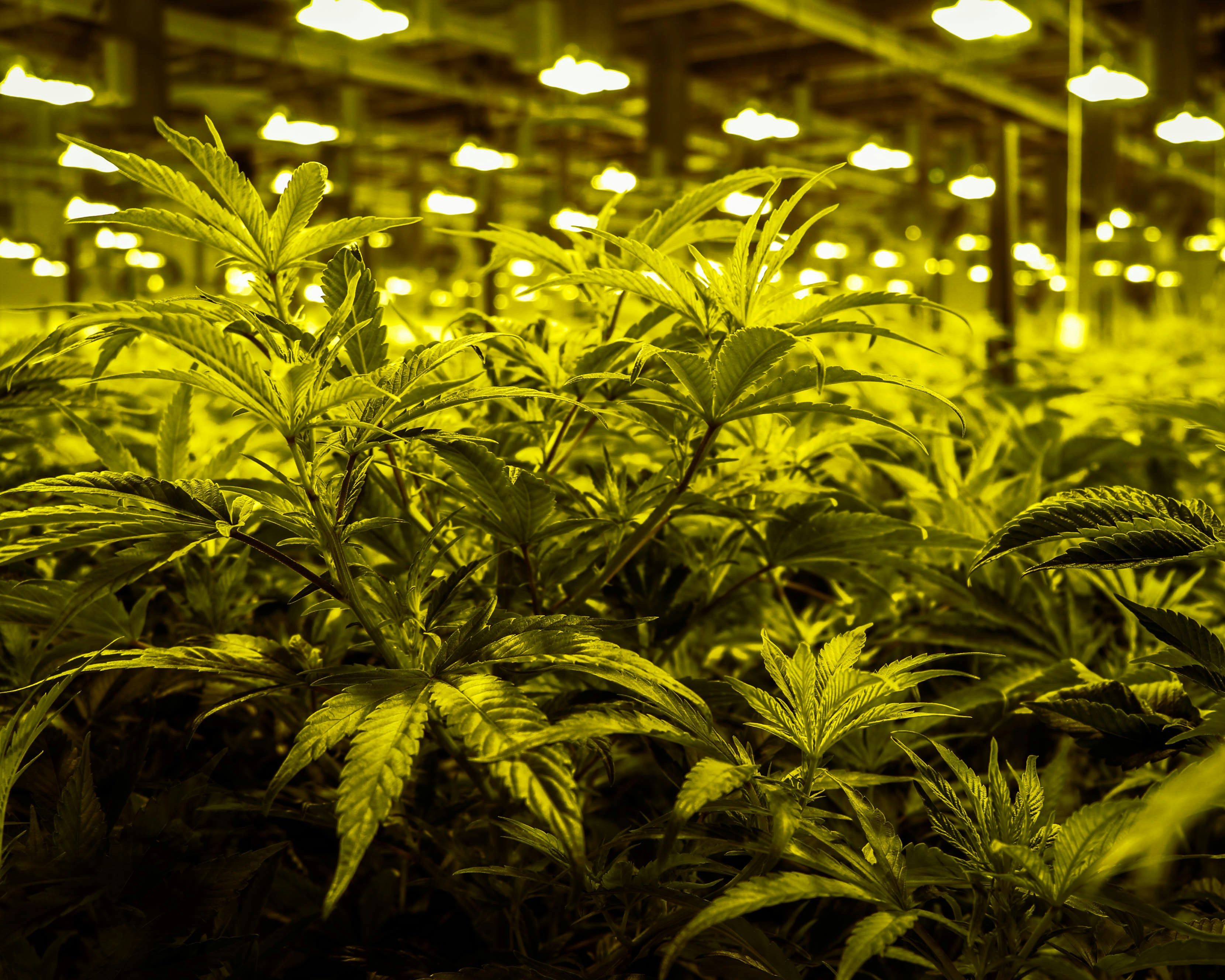 Photo by michaelhystead