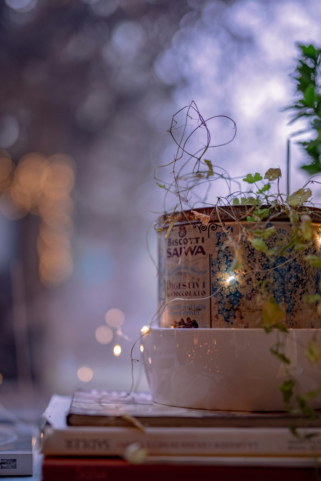 green plant in clear glass jar