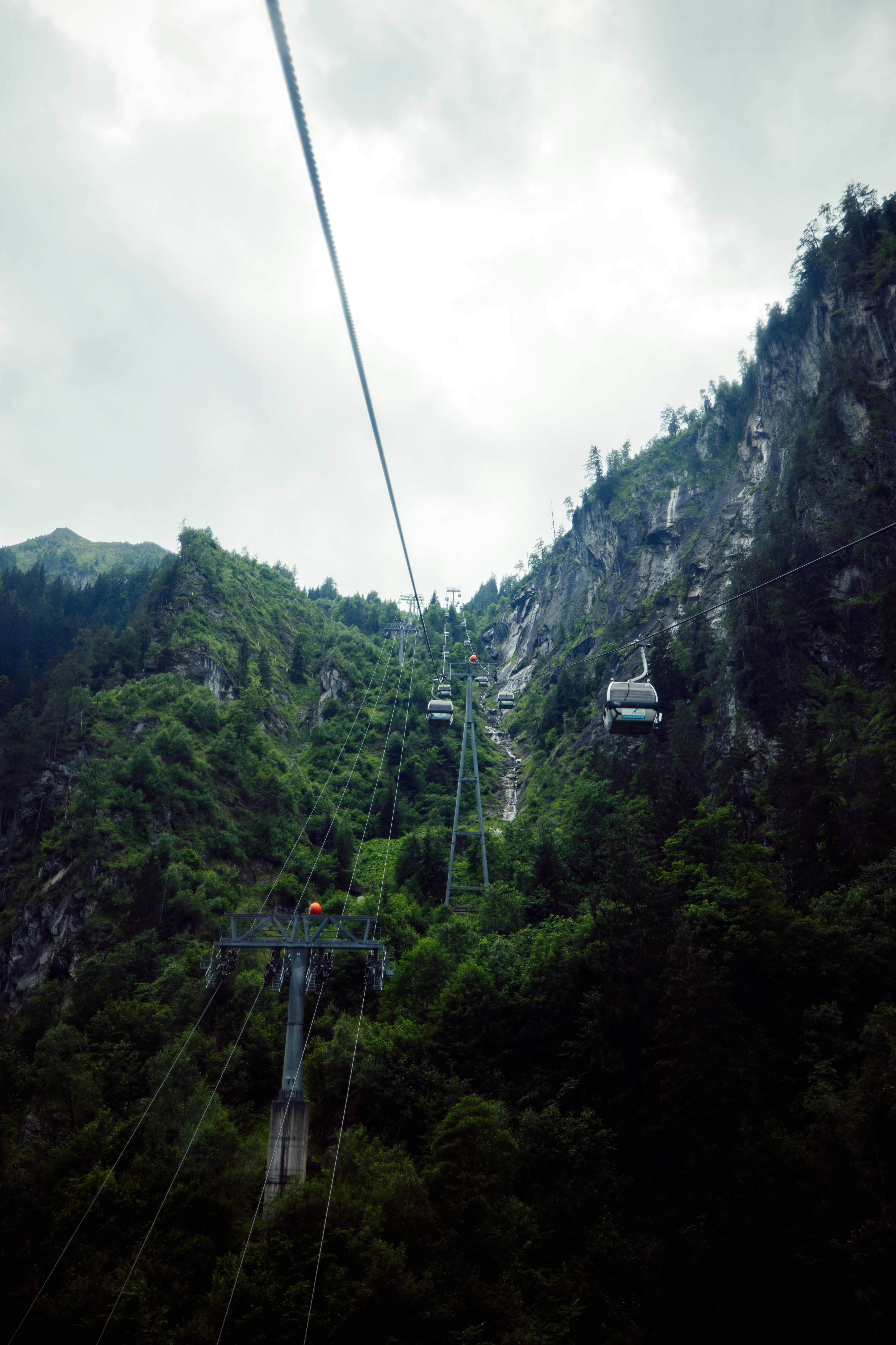 Photo by brunovdkraan