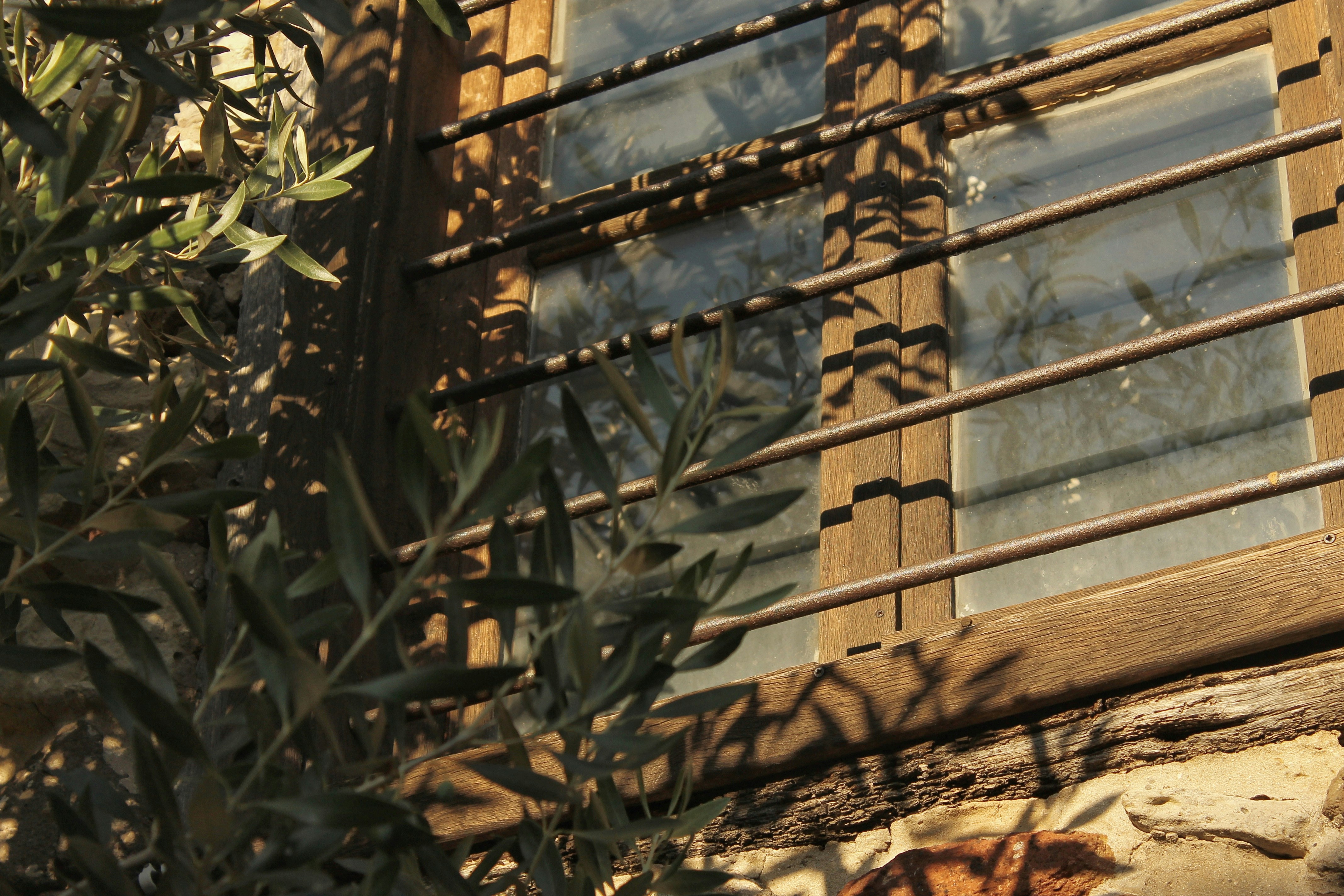 Photo by bogdan_vaskan