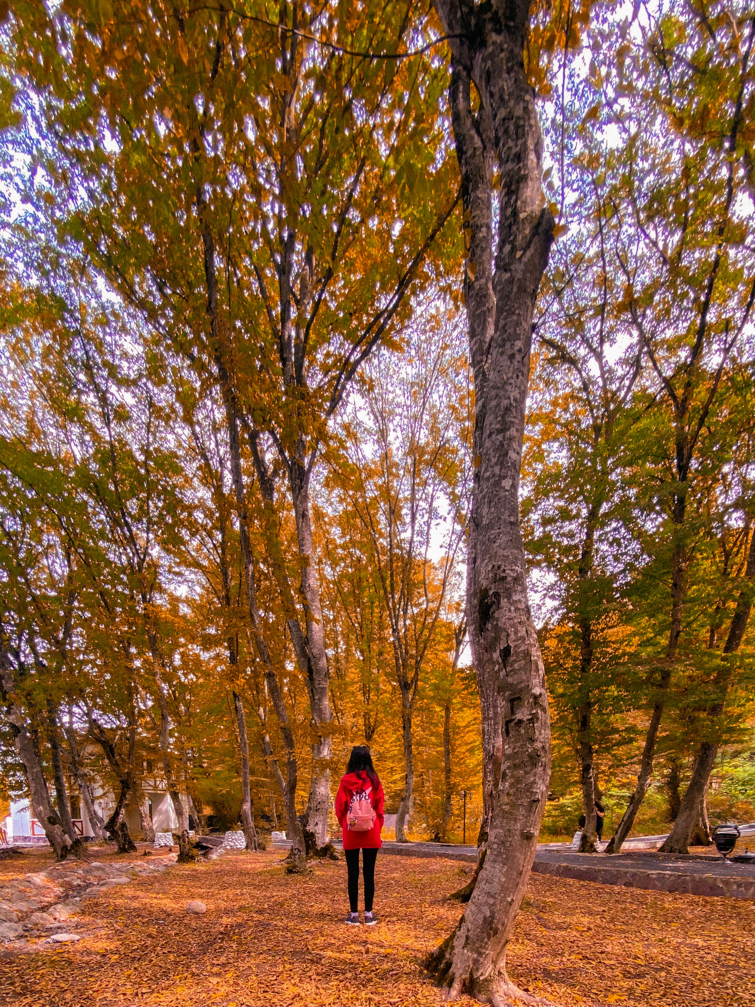 Photo by hniga