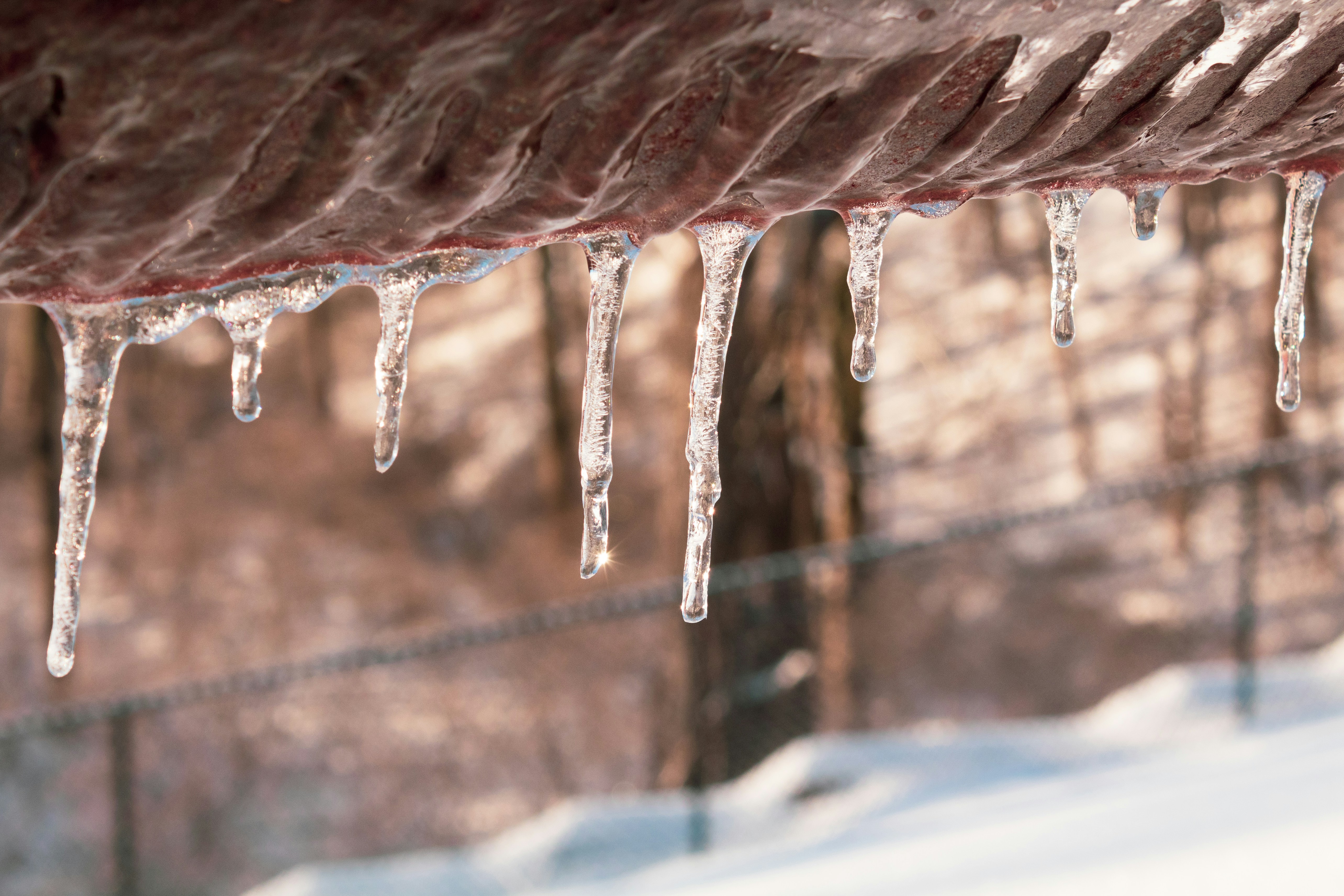 Photo by andresherrerapics