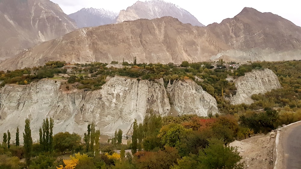 alberi verdi vicino alla montagna durante il giorno