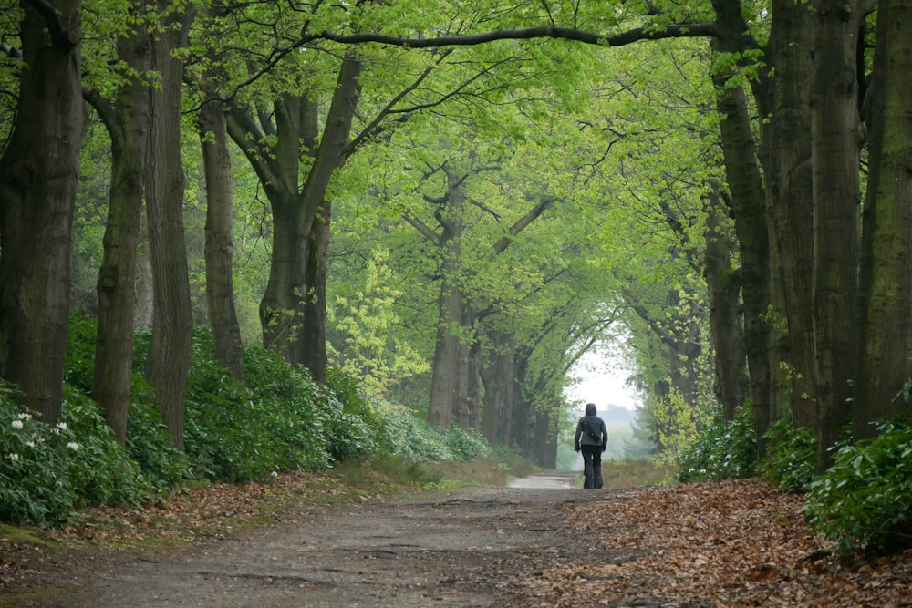 pessoa em jaqueta preta andando no caminho entre as árvores durante o dia