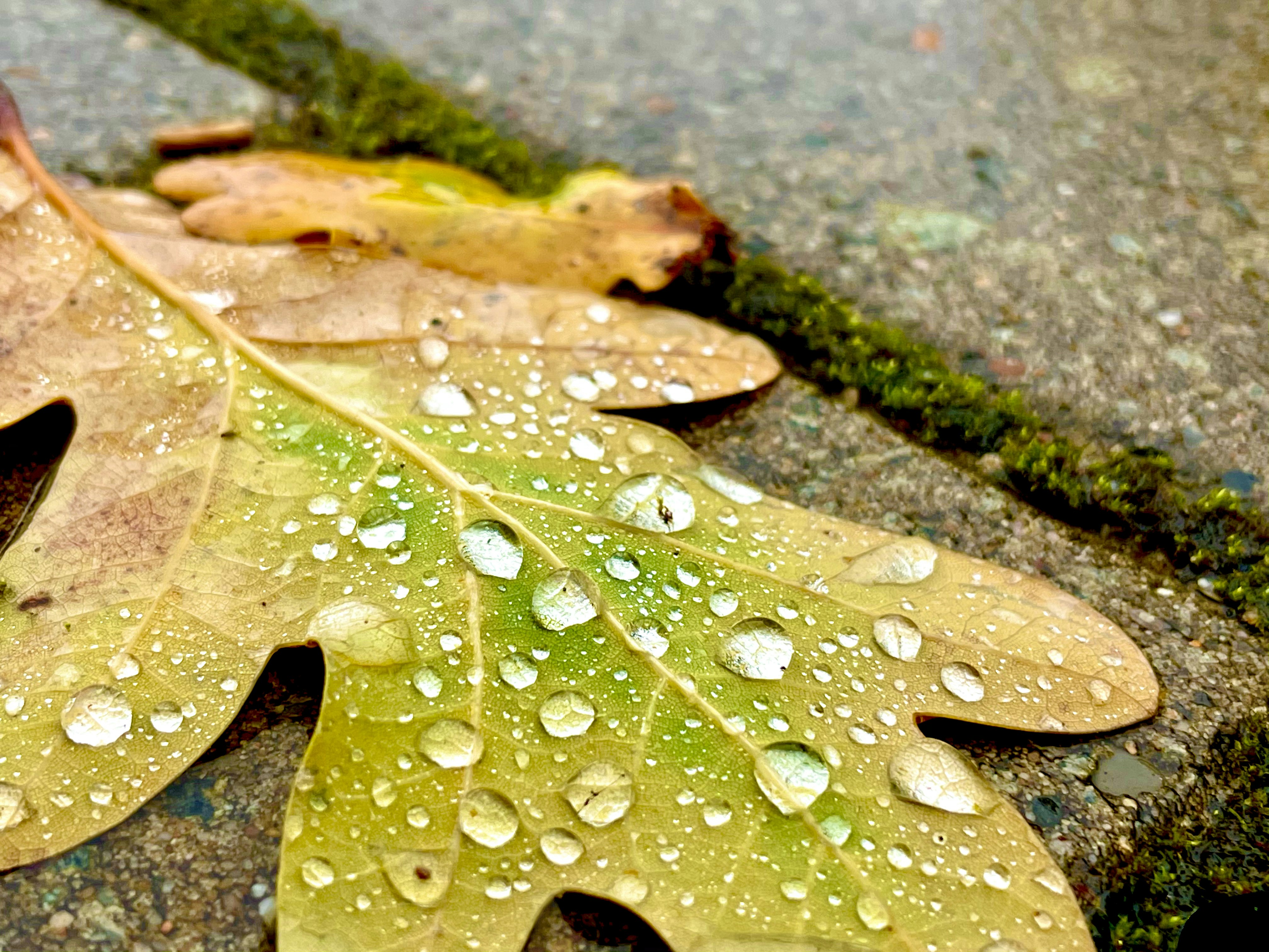 Photo by ingodoerrie