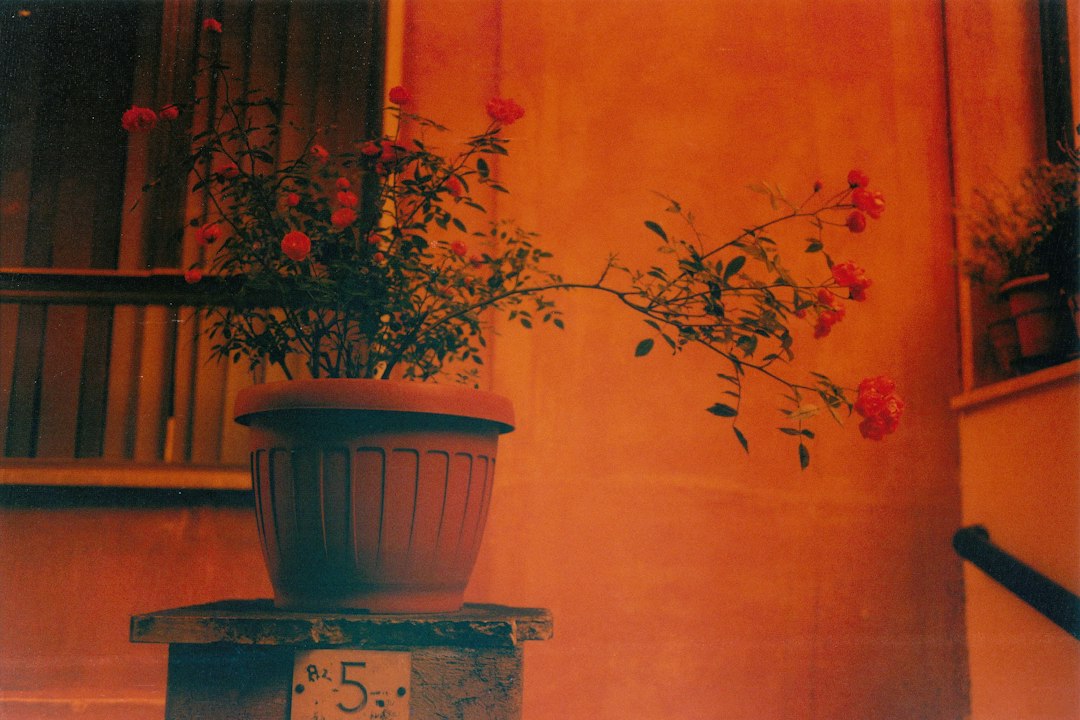Scanno