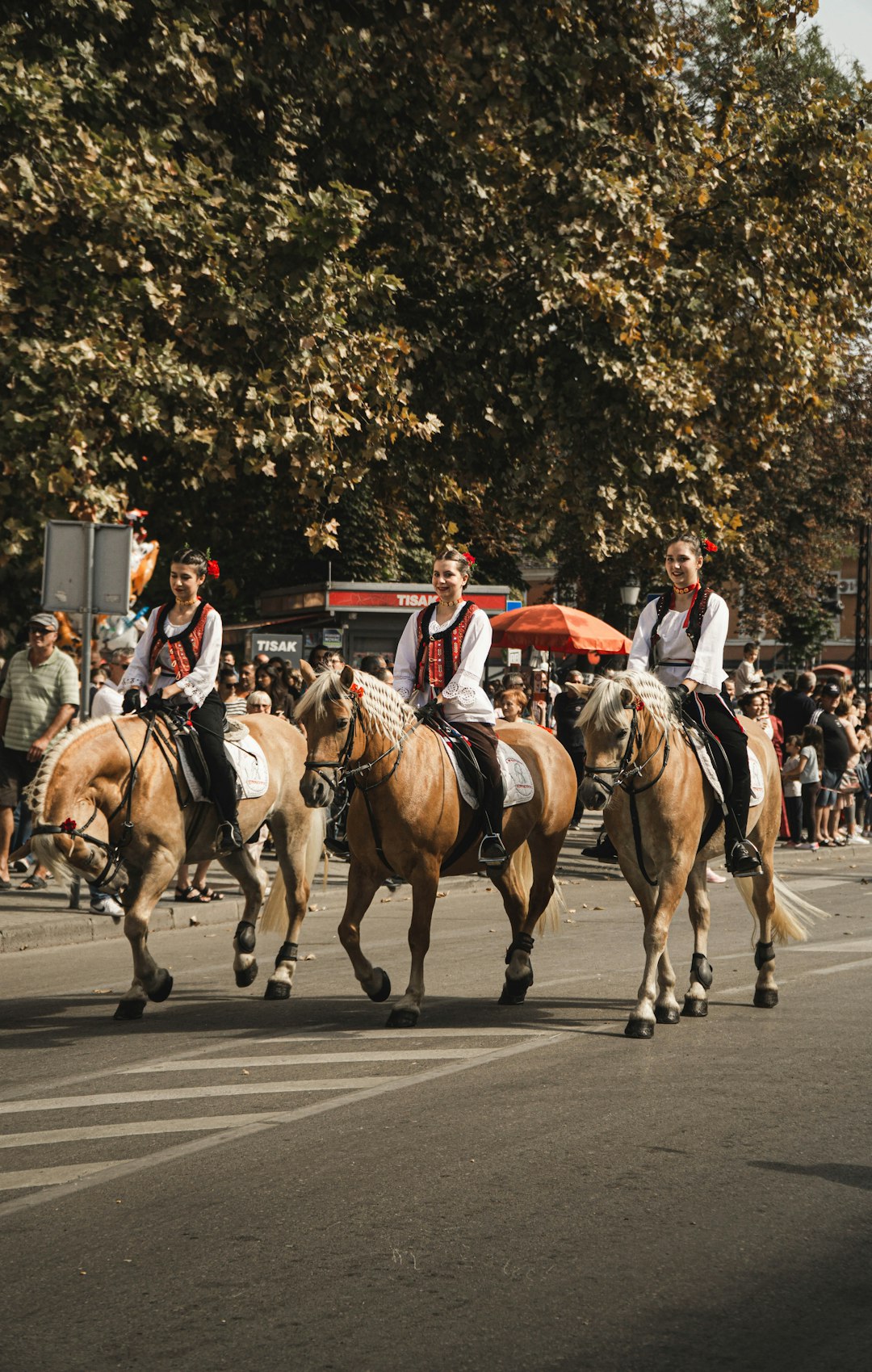 people riding horses on road during daytime