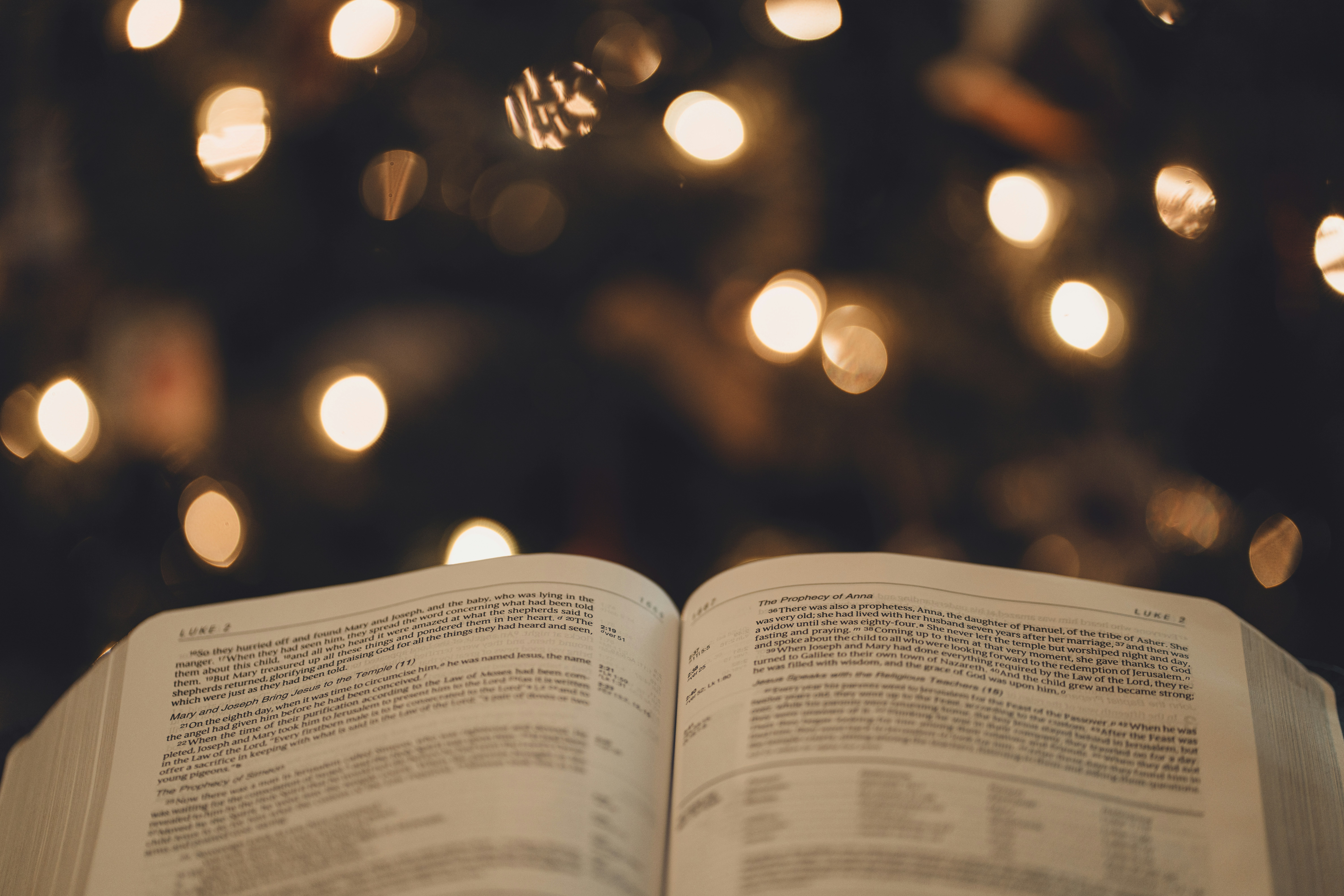 Must-Read Christmas Story Quotes to Warm Your Heart Today