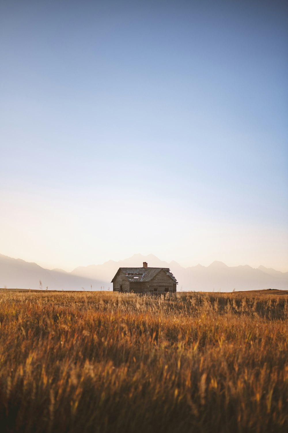 casa di legno nera sul campo di erba marrone durante il giorno
