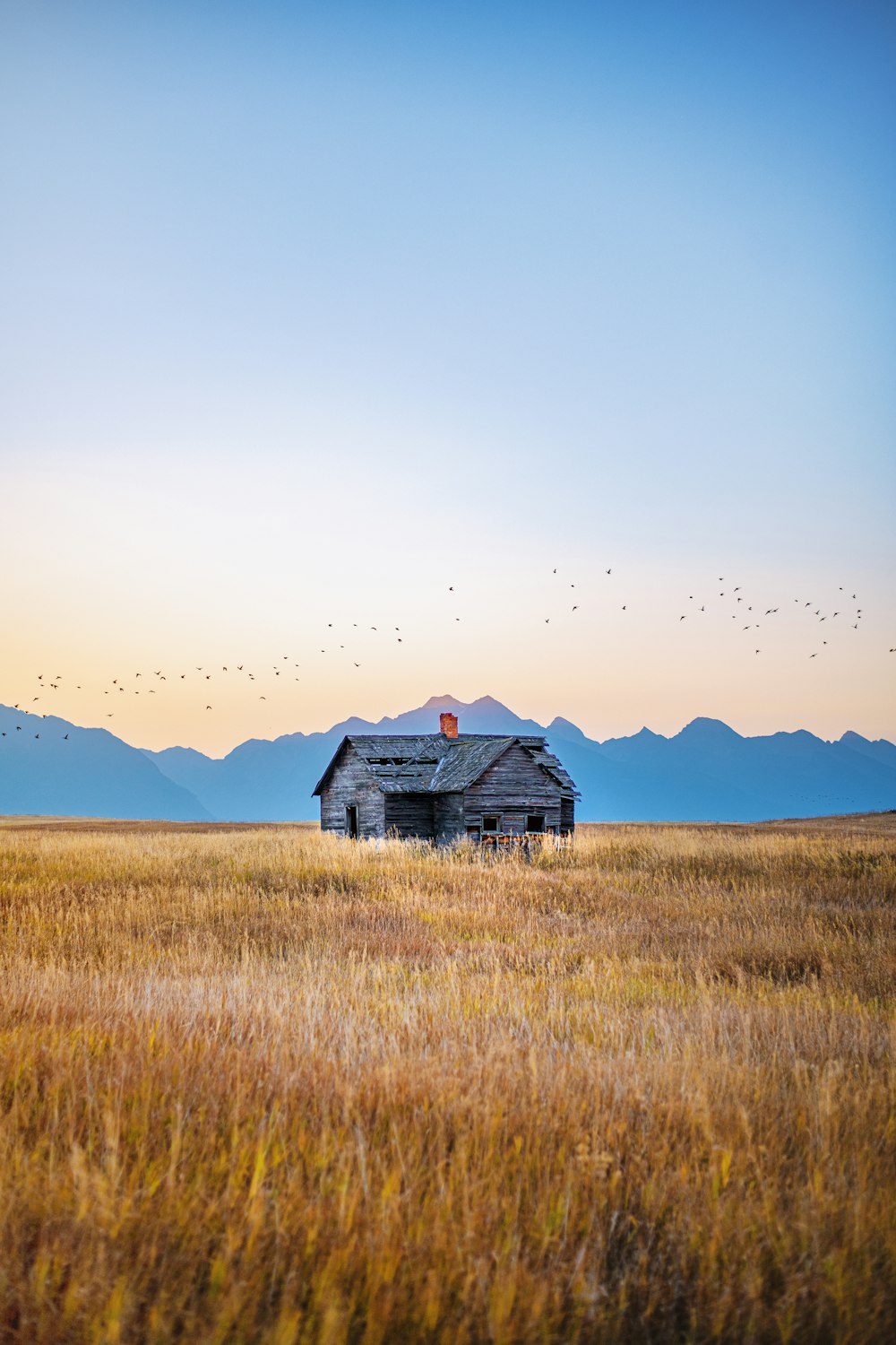 brown wooden house on brown grass field during daytime