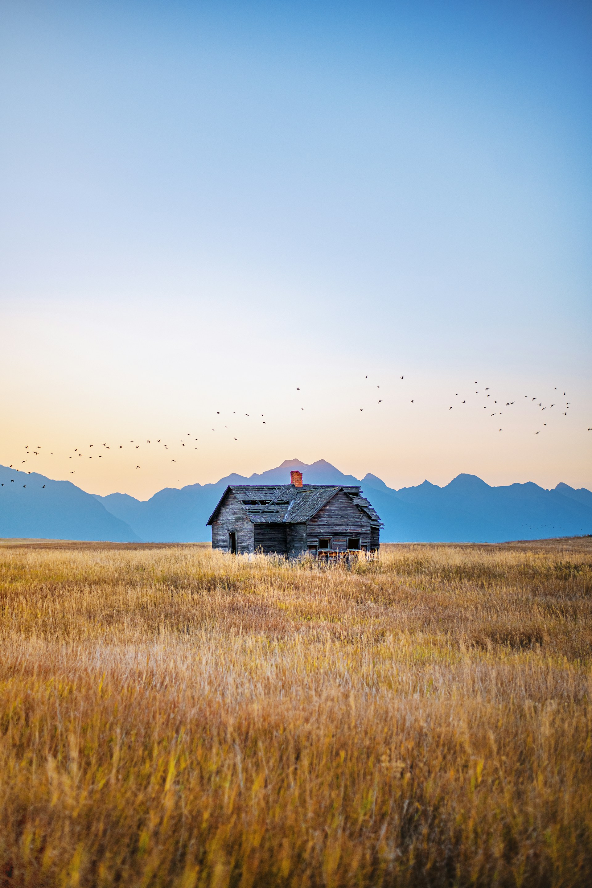 brown wooden house on brown grass field during daytime