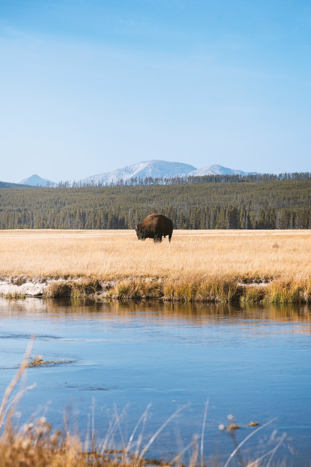 Yellowstone National Park Travel Guide