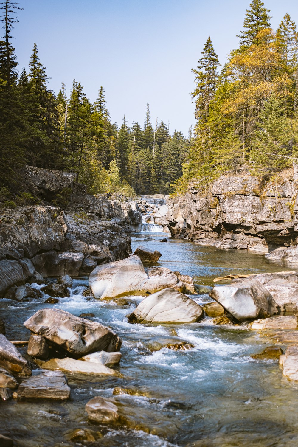 river in between green trees during daytime