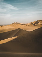 Golden sand dunes stretching into the horizon with a camel caravan at sunset.