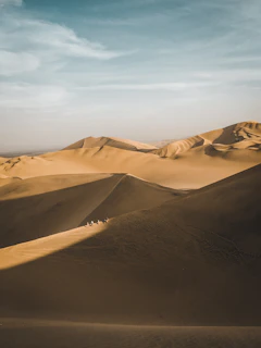 A panoramic view of a camel trek crossing golden sand dunes with the vast Sahara desert stretching beyond.