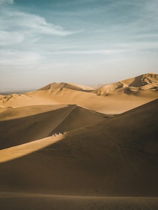 A vast expanse of golden sand dunes stretches across the horizon, bathed in warm sunlight. The undulating shapes of the dunes create soft shadows, and a group of camels with riders travels along the crest of one dune. The sky above is clear with gentle wisps of clouds.