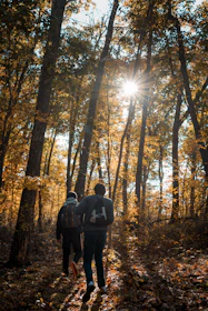 Two people walking slowly along a sunlit trail surrounded by golden aspen leaves.