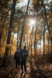 Two people walking slowly along a sunlit trail surrounded by golden aspen leaves.