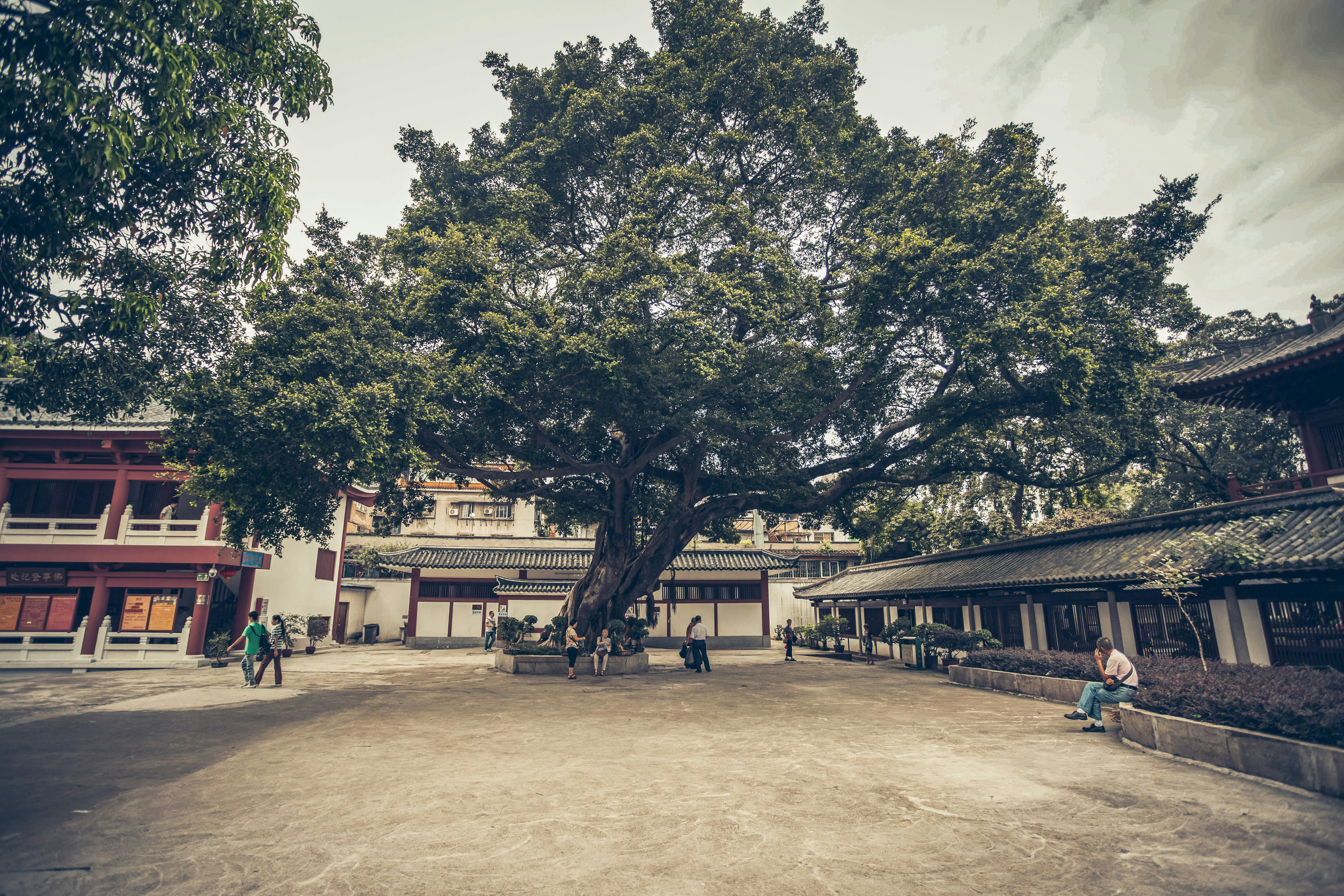 people walking on brown sand near green trees during daytime