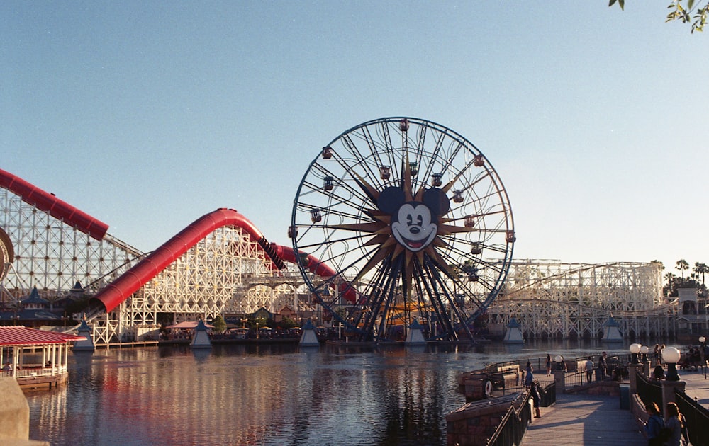 red and white ferris wheel near body of water during daytime