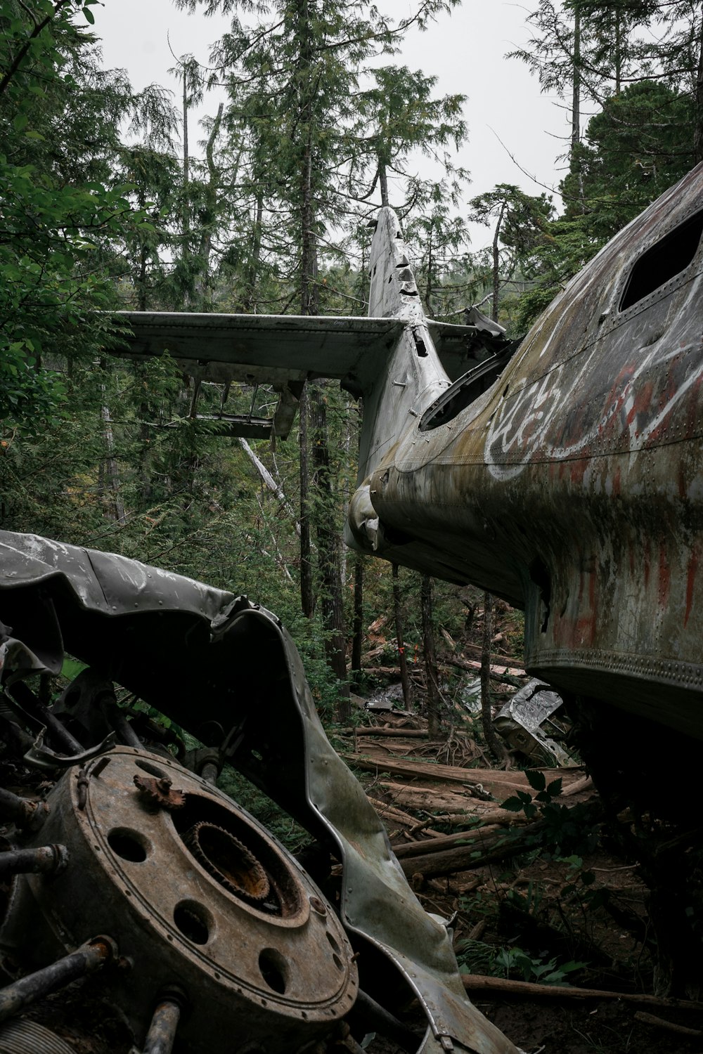 brown and green wrecked car surrounded by green trees during daytime