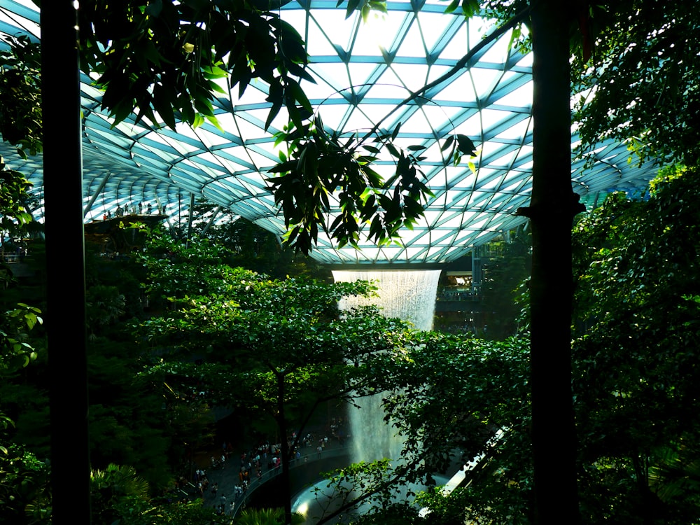 green trees near water fountain