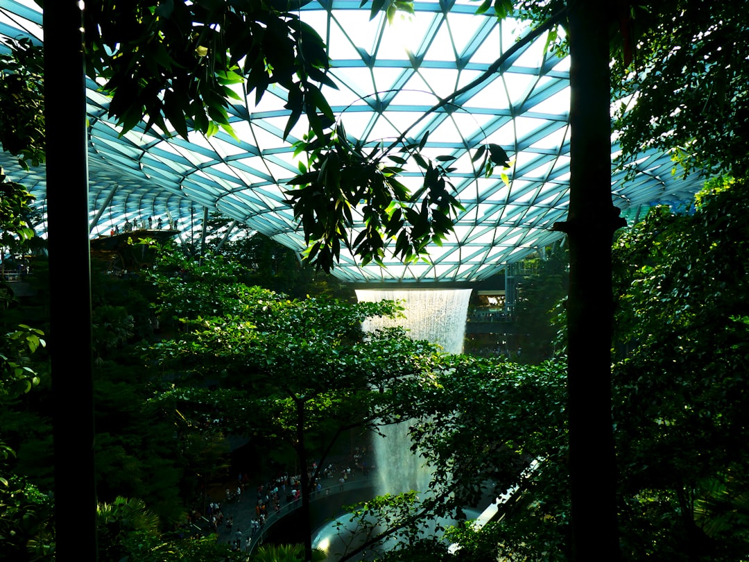 green trees near water fountain,